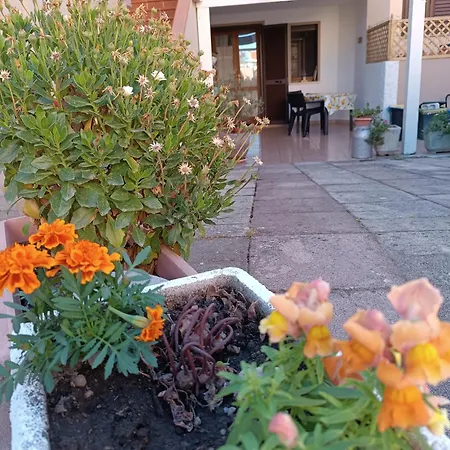 Da Francesca Palmadula